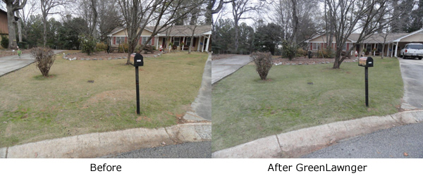 grass paint before and after picture